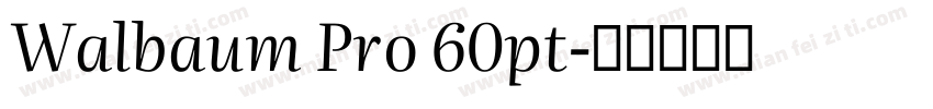 Walbaum Pro 60pt字体转换